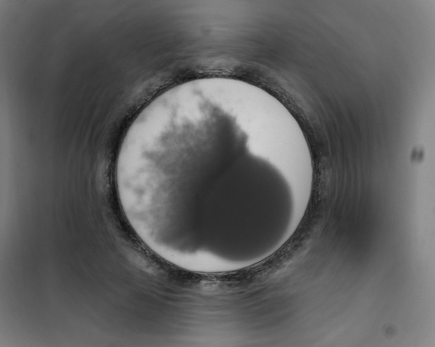 X0000101400641200808041042