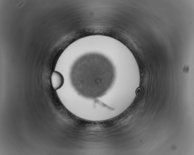 X0000101400643200808041042