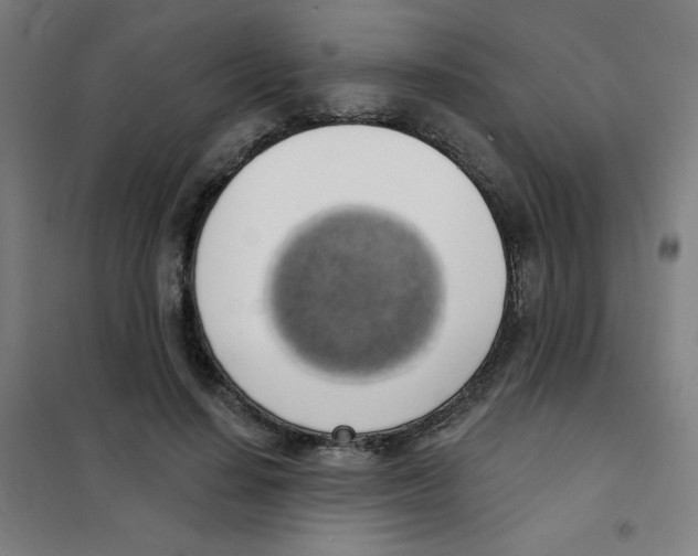 X0000101400644200808041042