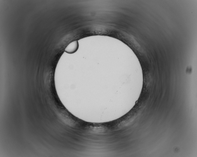 X0000101400645200808041042