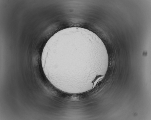 X0000101400647200808041042