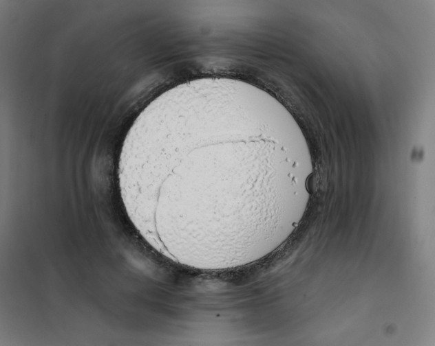 X0000101400648200808041042