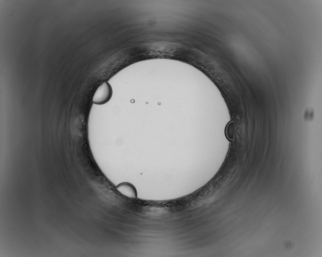 X0000101400649200808041042