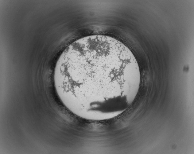 X0000101400650200808041042