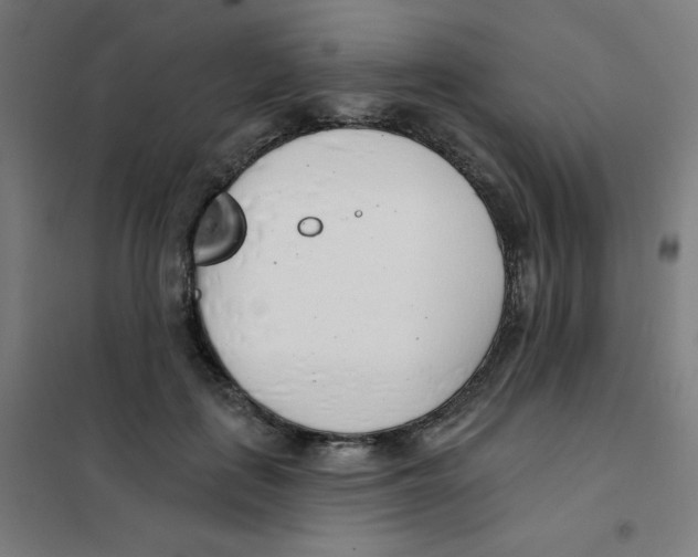 X0000101400651200808041042