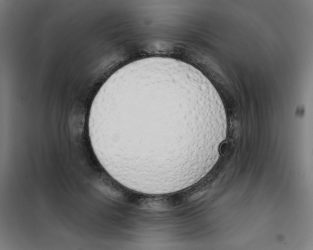 X0000101400652200808041042