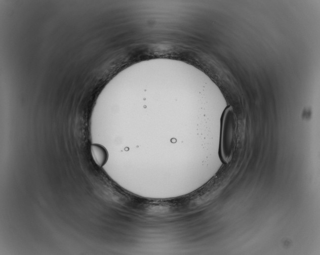 X0000101400653200808041042