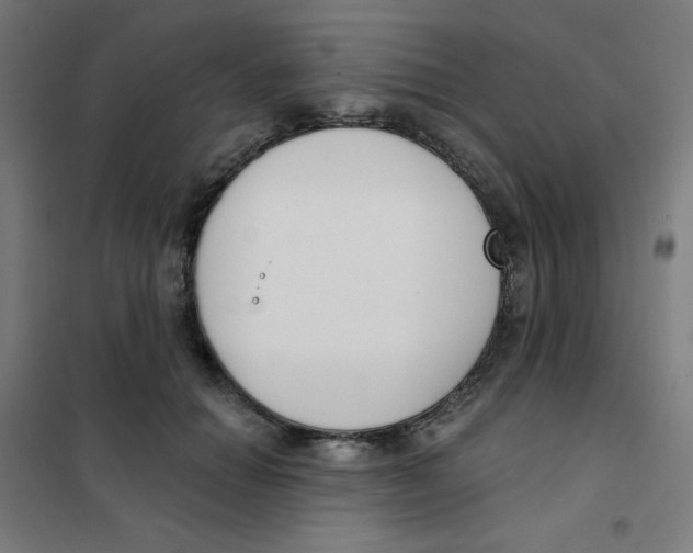 X0000101400654200808041042