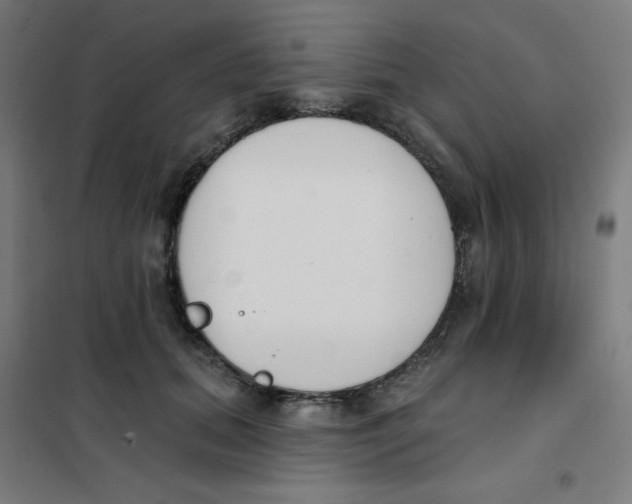 X0000101400655200808041042