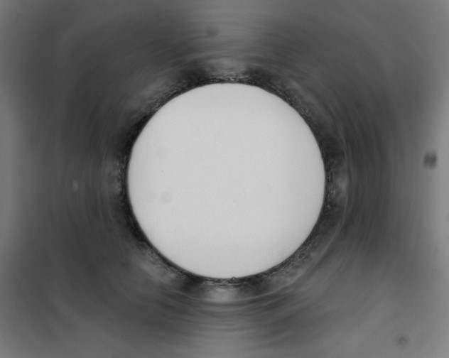 X0000101400658200808041042