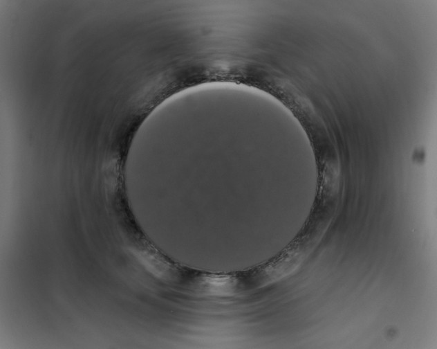 X0000101400659200808041042