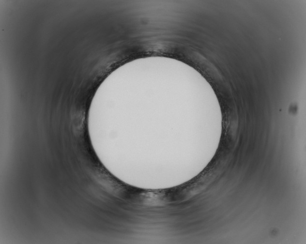 X0000101400660200808041042