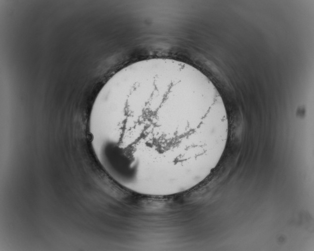 X0000101400661200808041042