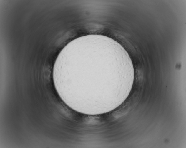 X0000101400664200808041042