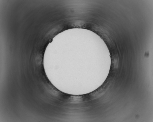 X0000101400665200808041042