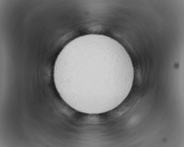 X0000101400668200808041042