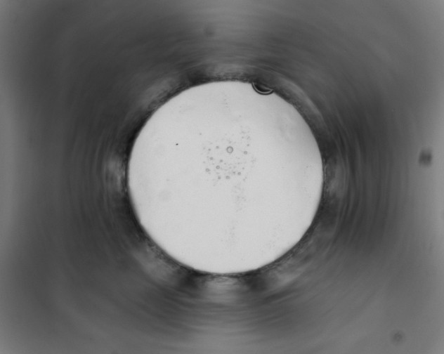 X0000101400669200808041042