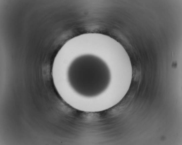 X0000101400670200808041042