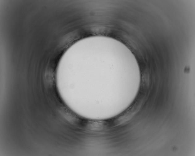 X0000101400671200808041042