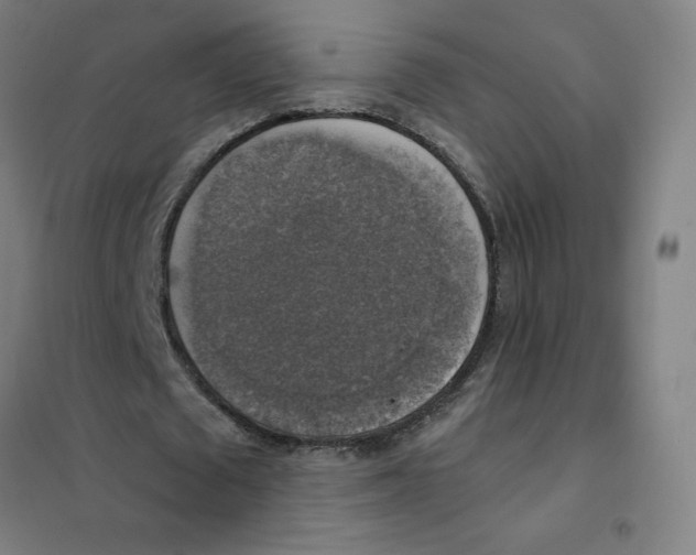 X0000101400673200808041041