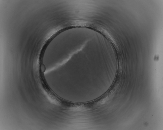 X0000101400674200808041041