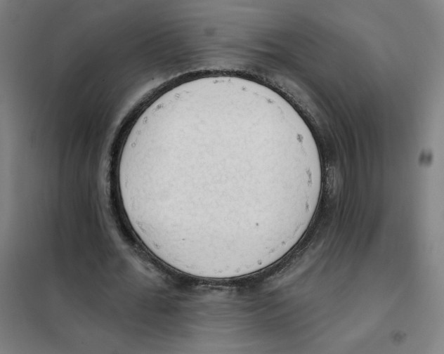 X0000101400676200808041041