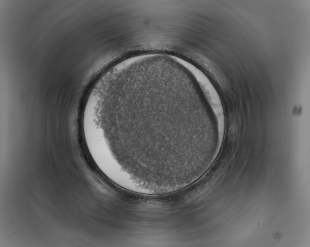 X0000101400677200808041041