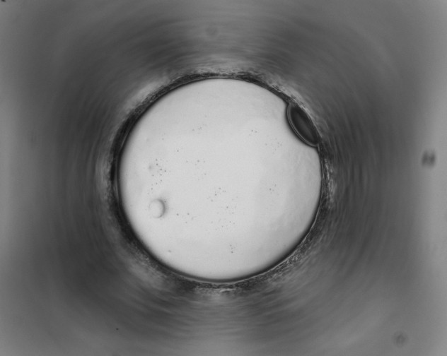 X0000101400679200808041041