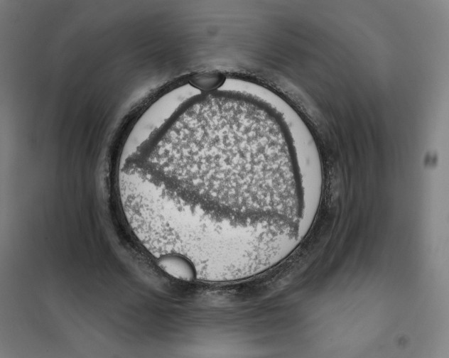 X0000101400680200808041041