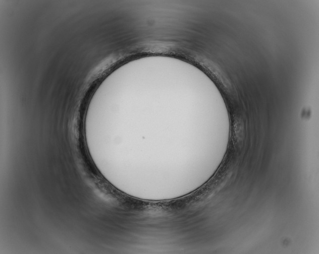 X0000101400682200808041041