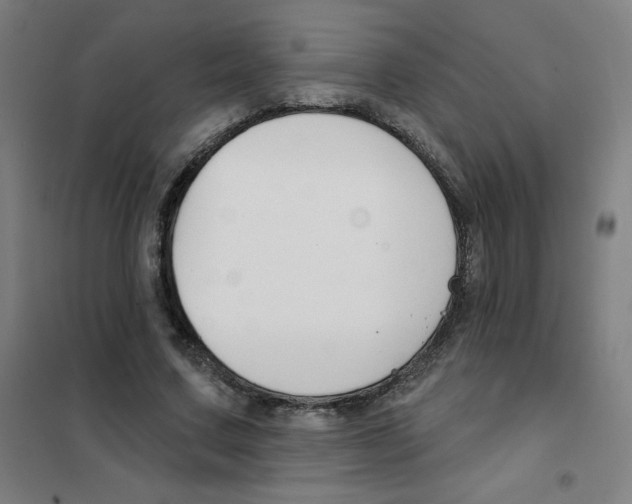 X0000101400683200808041041