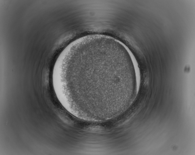 X0000101400685200808041041