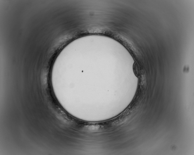 X0000101400687200808041041