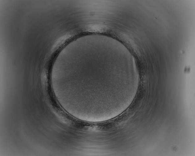 X0000101400688200808041041