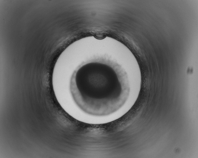 X0000101400689200808041041