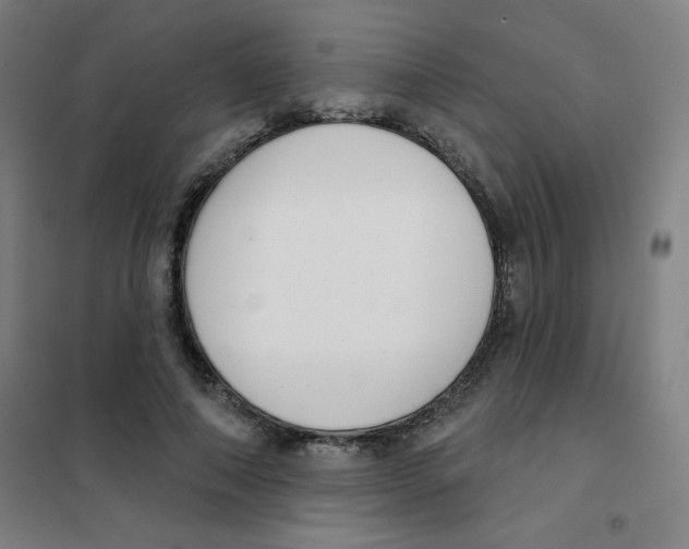 X0000101400690200808041041