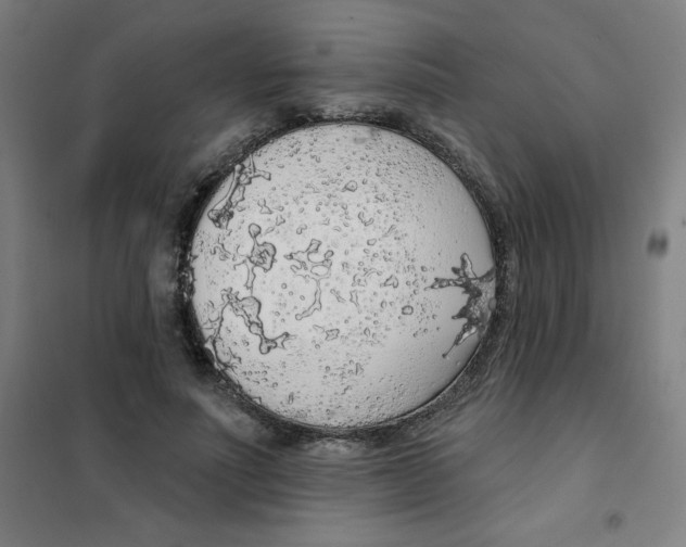 X0000101400691200808041041