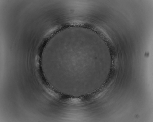 X0000101400692200808041041