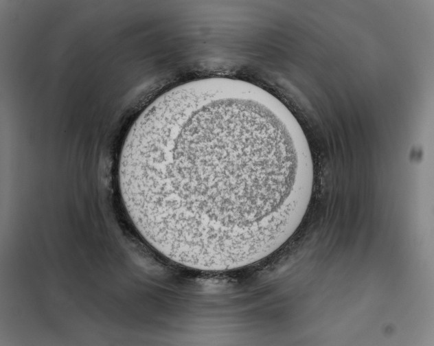 X0000101400693200808041041