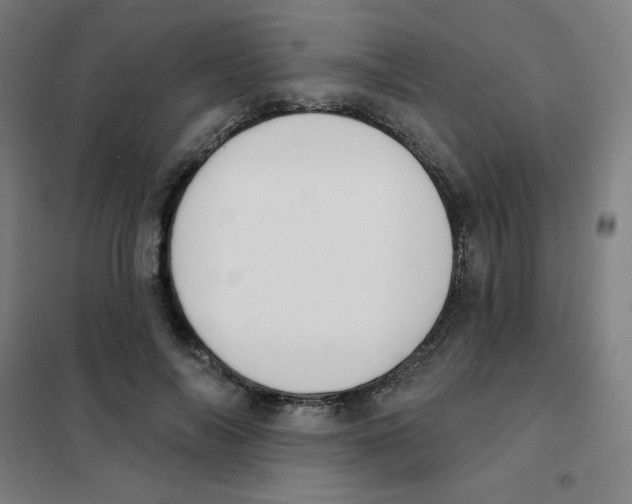 X0000101400694200808041041