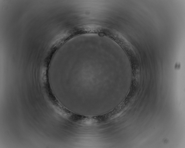 X0000101400696200808041041