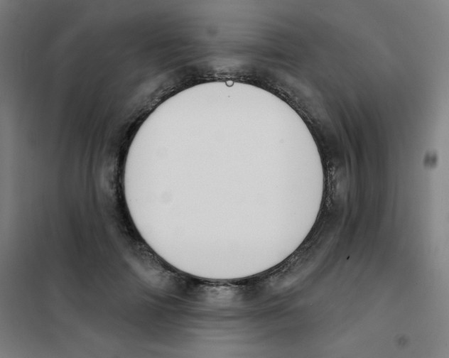 X0000101400698200808041041