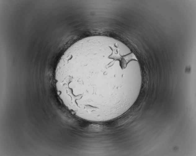 X0000101400699200808041041