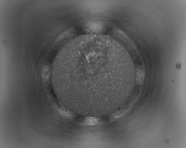 X0000101400701200808041041