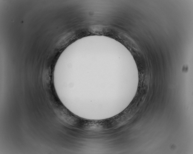 X0000101400702200808041041