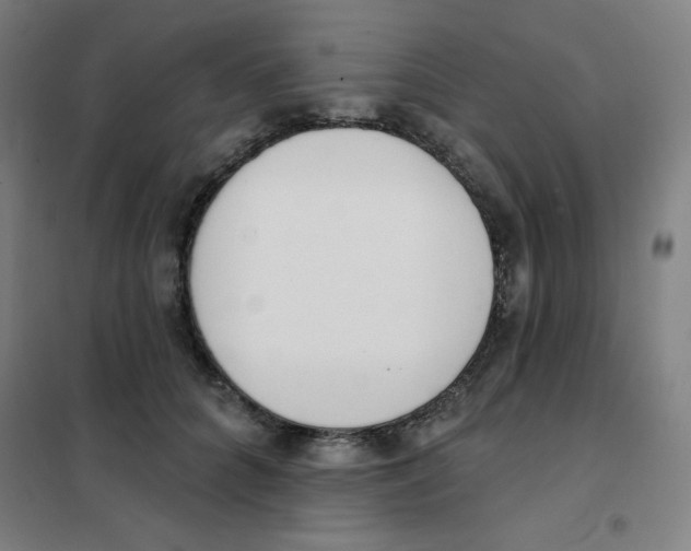 X0000101400704200808041041