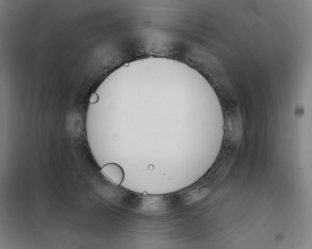 X0000101400705200808041041