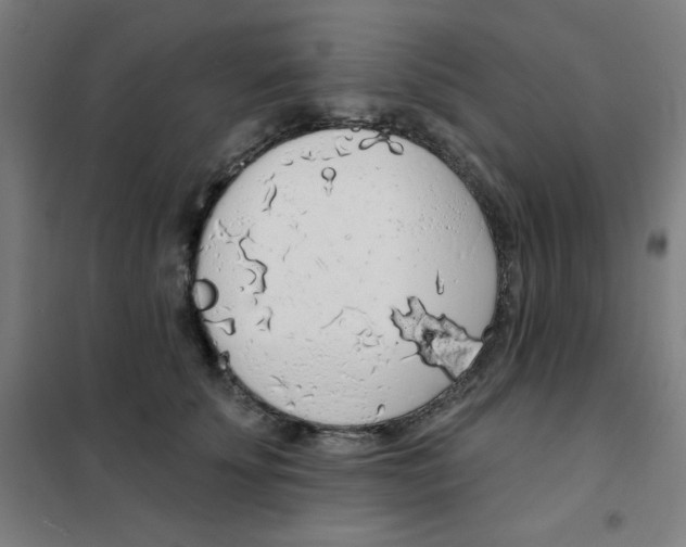 X0000101400707200808041041