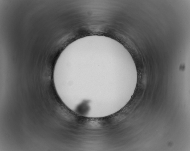 X0000101400710200808041041