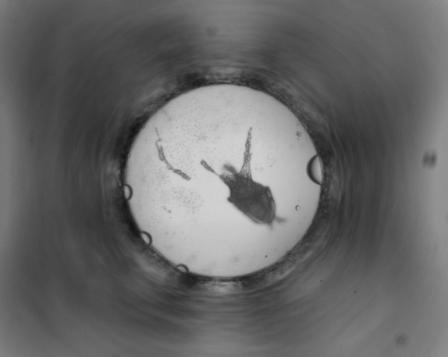 X0000101400711200808041041